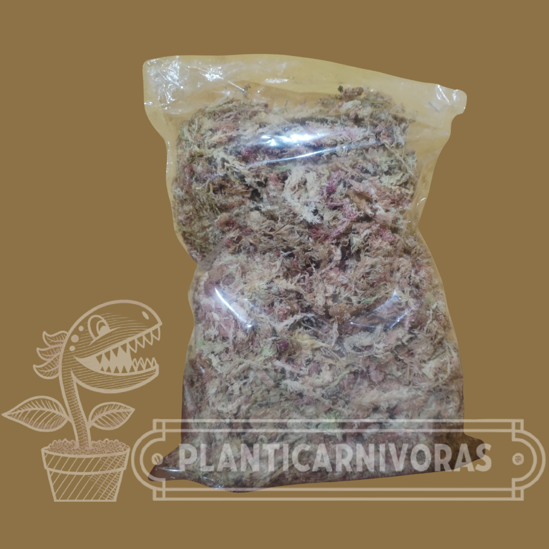 Musgo Blanco Sphagnum de Fibra Larga